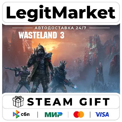 Wasteland 3 / Steam АВТО / РУ + МИР