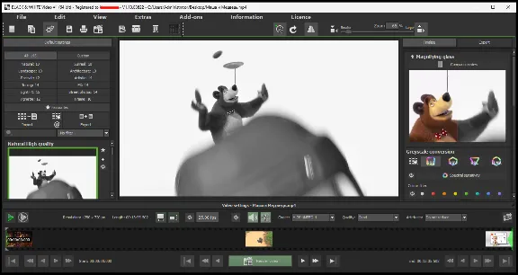 Franzis BLACK & WHITE Video #1 Серийный номер