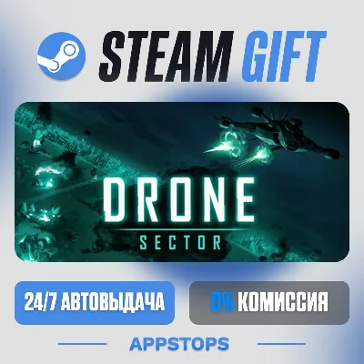 💣 Drone Sector Steam Gift · АВТОДОСТАВКА · РОССИЯ + СНГ