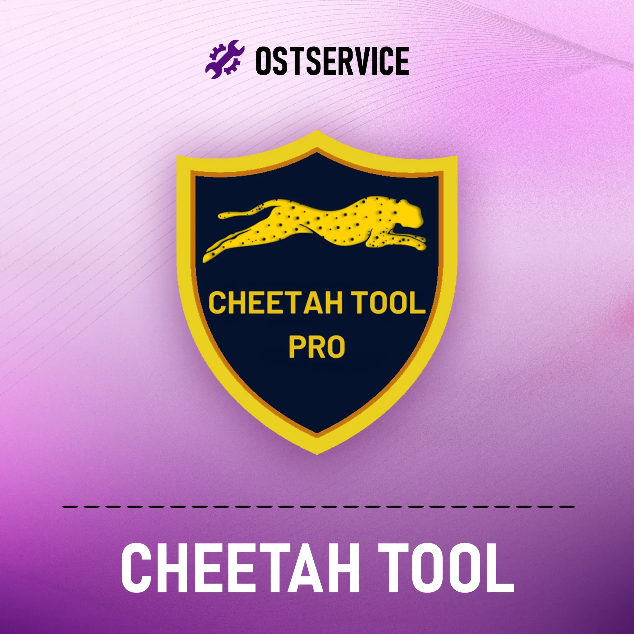 Cheetah Tool аренда аккаунта на 24 часа - АВТО-ВЫДАЧА!