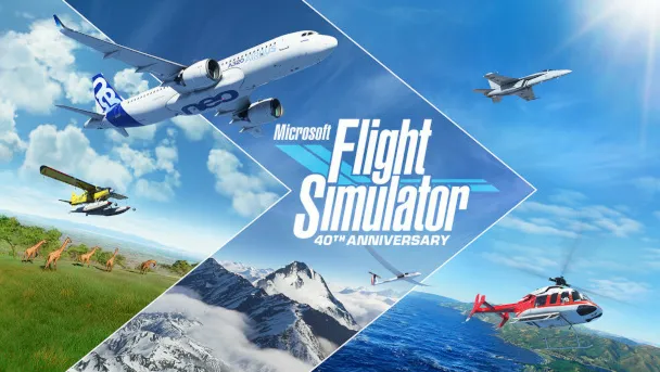 Мульти аккаунт MSFS steam
