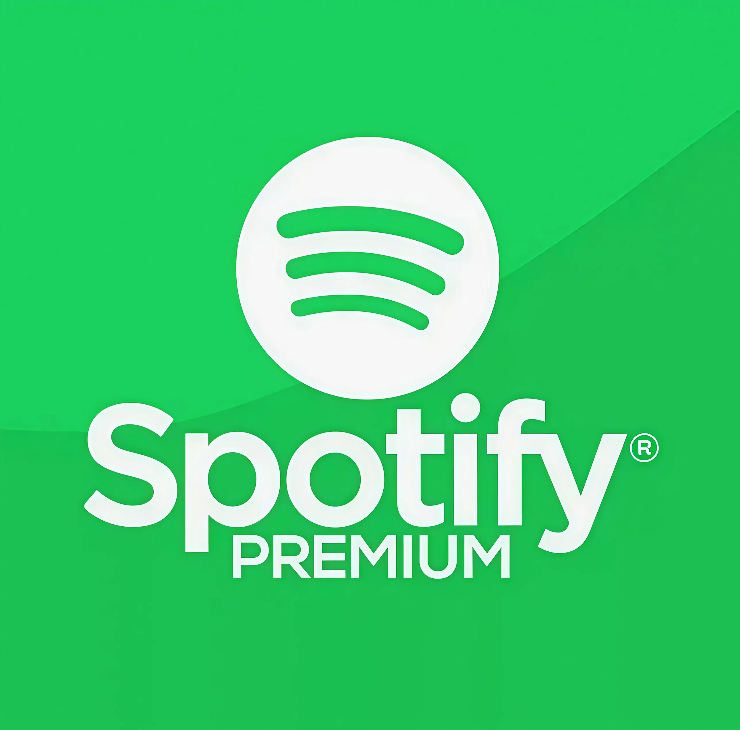 Аккаунт Spotify Premium с подпиской на 3 месяца , США, Individual - irongamers.ru