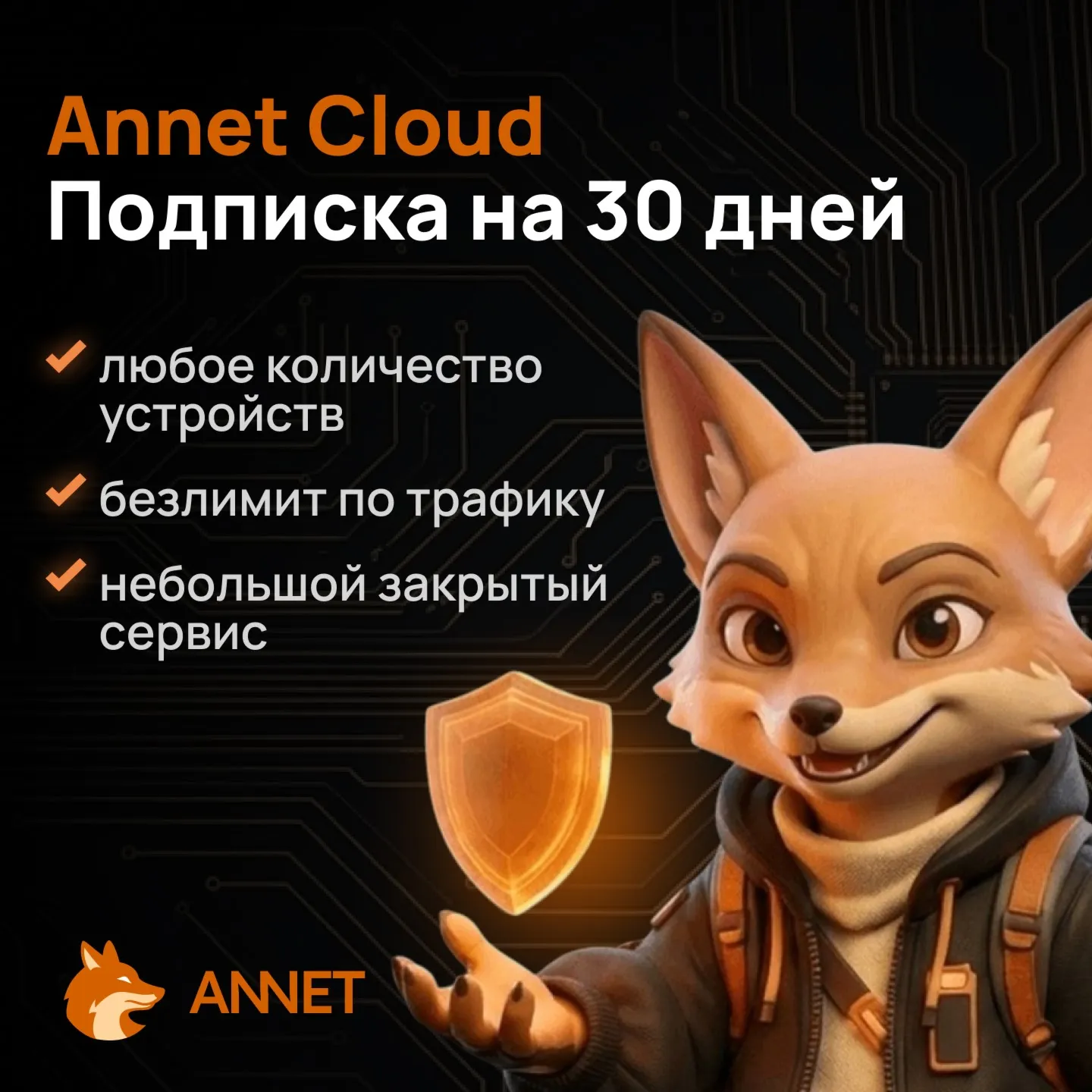 Annet Cloud подписка на 30/60/180/365 дней