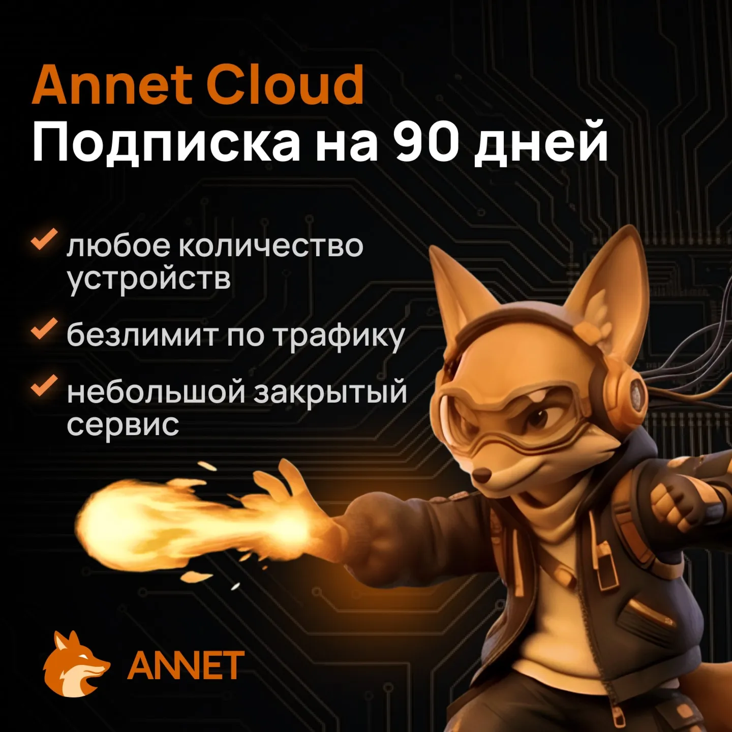 Annet Cloud подписка на 30/60/180/365 дней