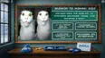 ЭКЗАМЕН ПО МЕМАМ: 2025 (STEAM KEY/REGION FREE)
