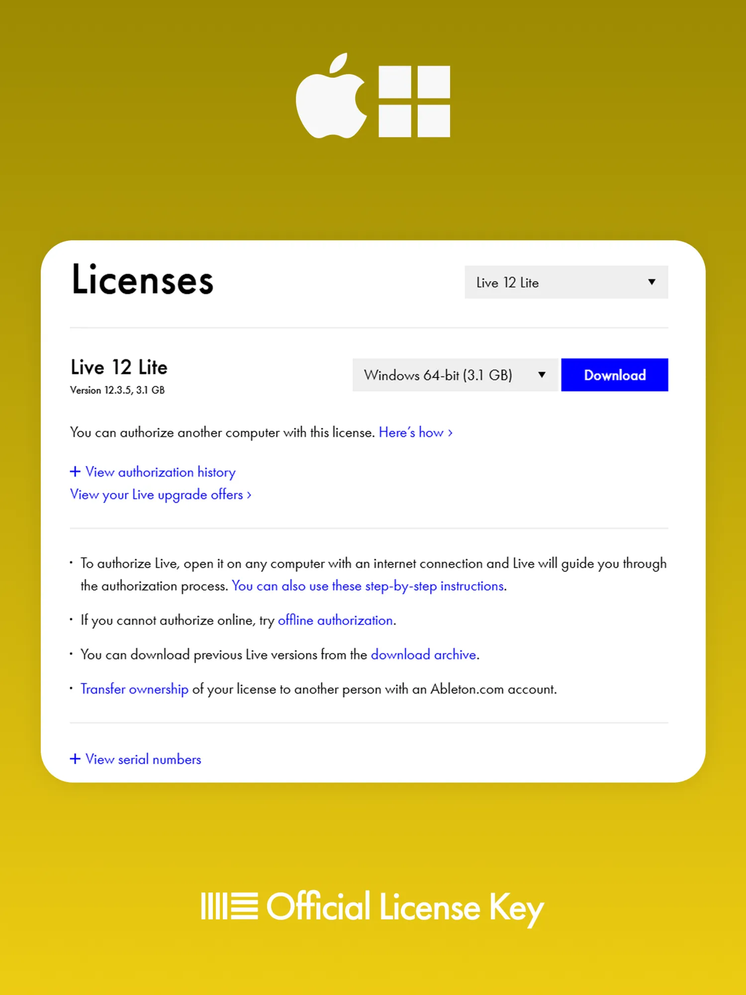 Ableton Live Lite 12 [Ключ Активации] Автовыдача 24/7