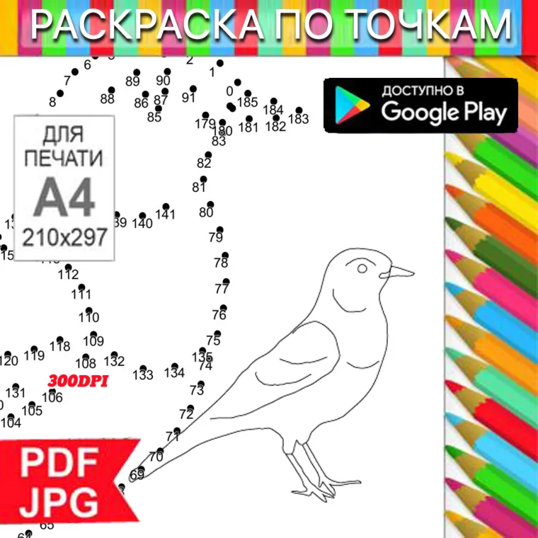 Птица Раскраска По точкам Антистресс для распечатки на принтере и Android - irongamers.ru