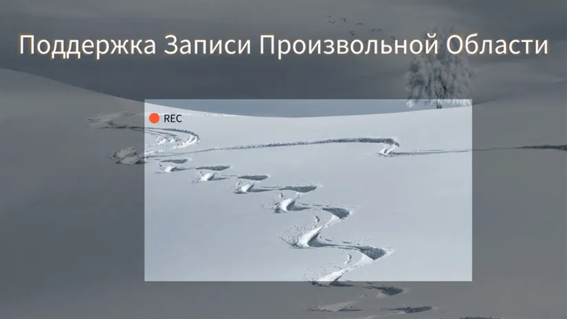 Мастер Записи Экрана покупка Пожизненный член Microsoft Store ПК Windows
