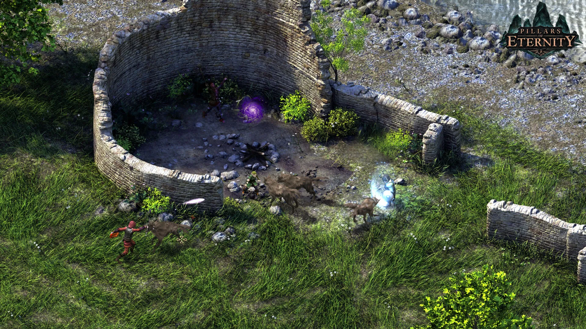 Pillars of Eternity - Definitive Edition / STEAM GIFT / Выбор стран - irongamers.ru