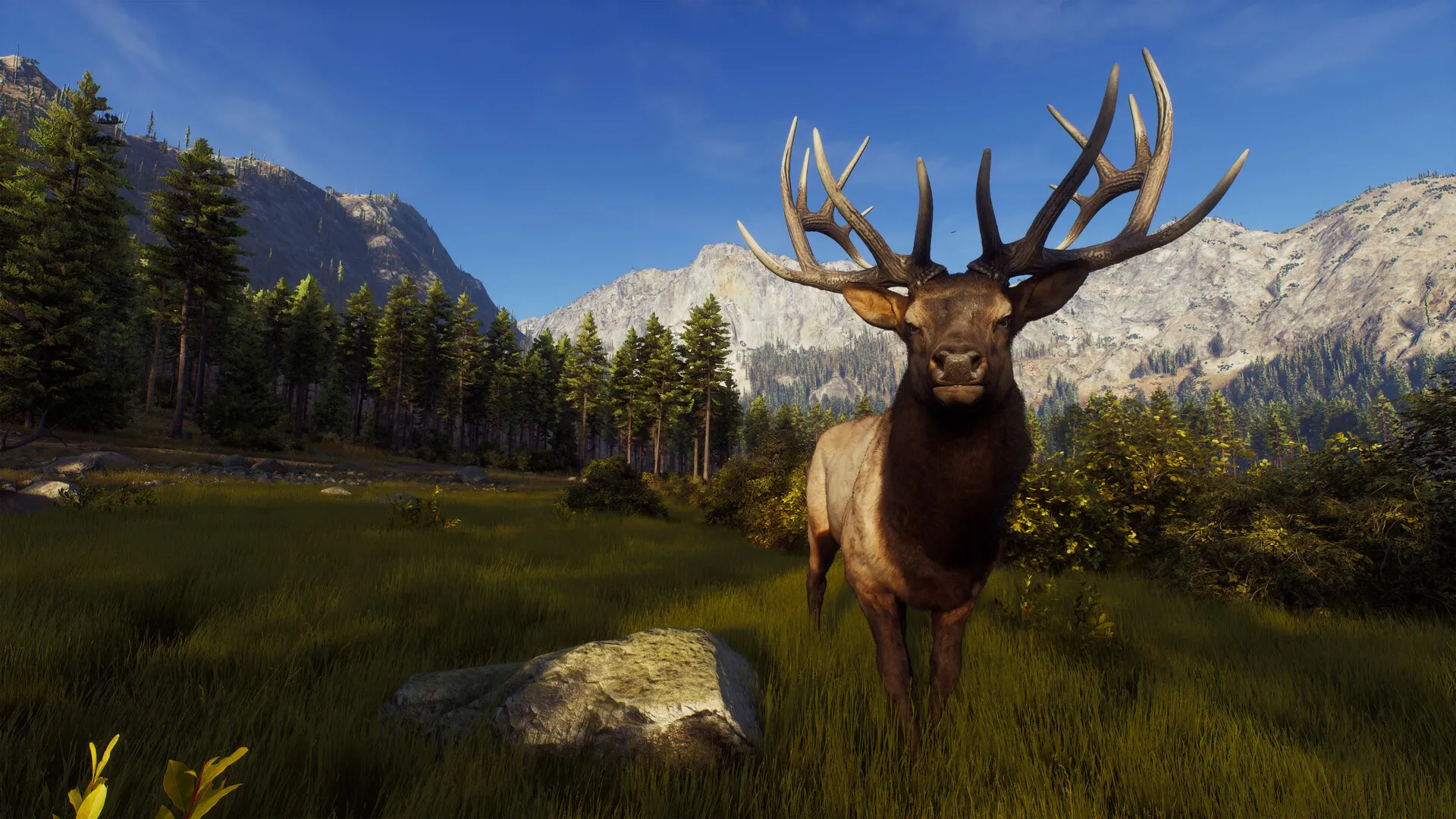 Way of the Hunter (Steam ключ / РФ+СНГ)