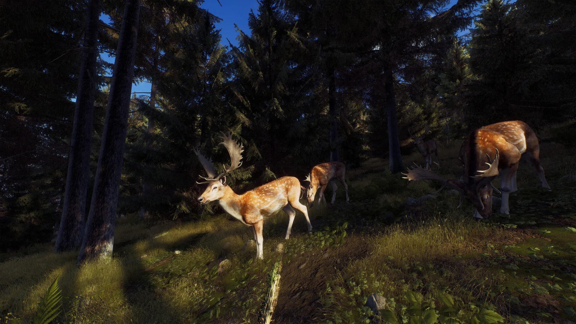 Way of the Hunter (Steam ключ / РФ+СНГ)