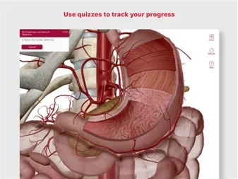 A&P: Anatomy and Physiology ✅ Microsoft Store ПК Активация