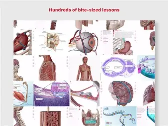 A&P: Anatomy and Physiology ✅ Microsoft Store ПК Активация