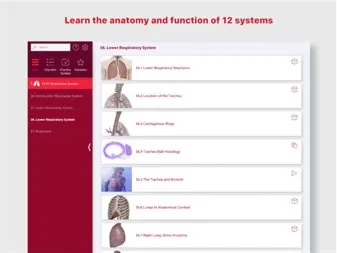 A&P: Anatomy and Physiology ✅ Microsoft Store ПК Активация