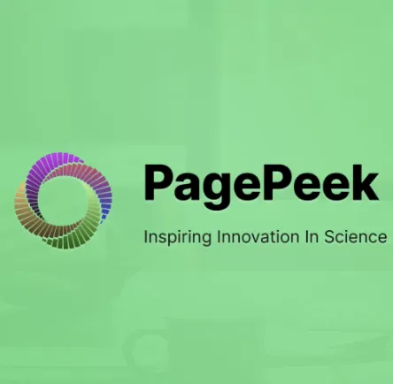 Pagepeek ai Starter/Premium подписка 1 месяц