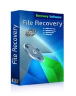 RS File Recovery Unlimited Edition Win/Mac/Linux пожизненный ключ