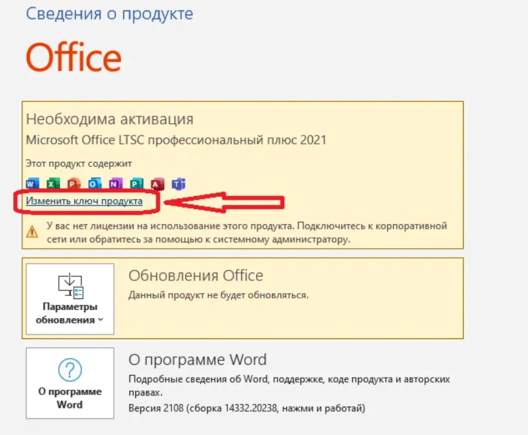 Microsoft Office 2021 Pro Plus LTSC электронный ключ, онлайн активация