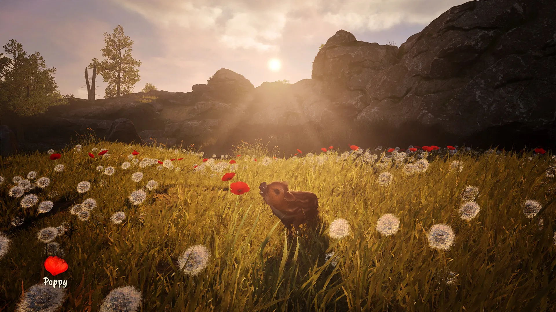 Adorable Adventures XBOX SERIES X|S ПОКУПКА ИГРЫ НА ВАШ АКАУНТ - irongamers.ru