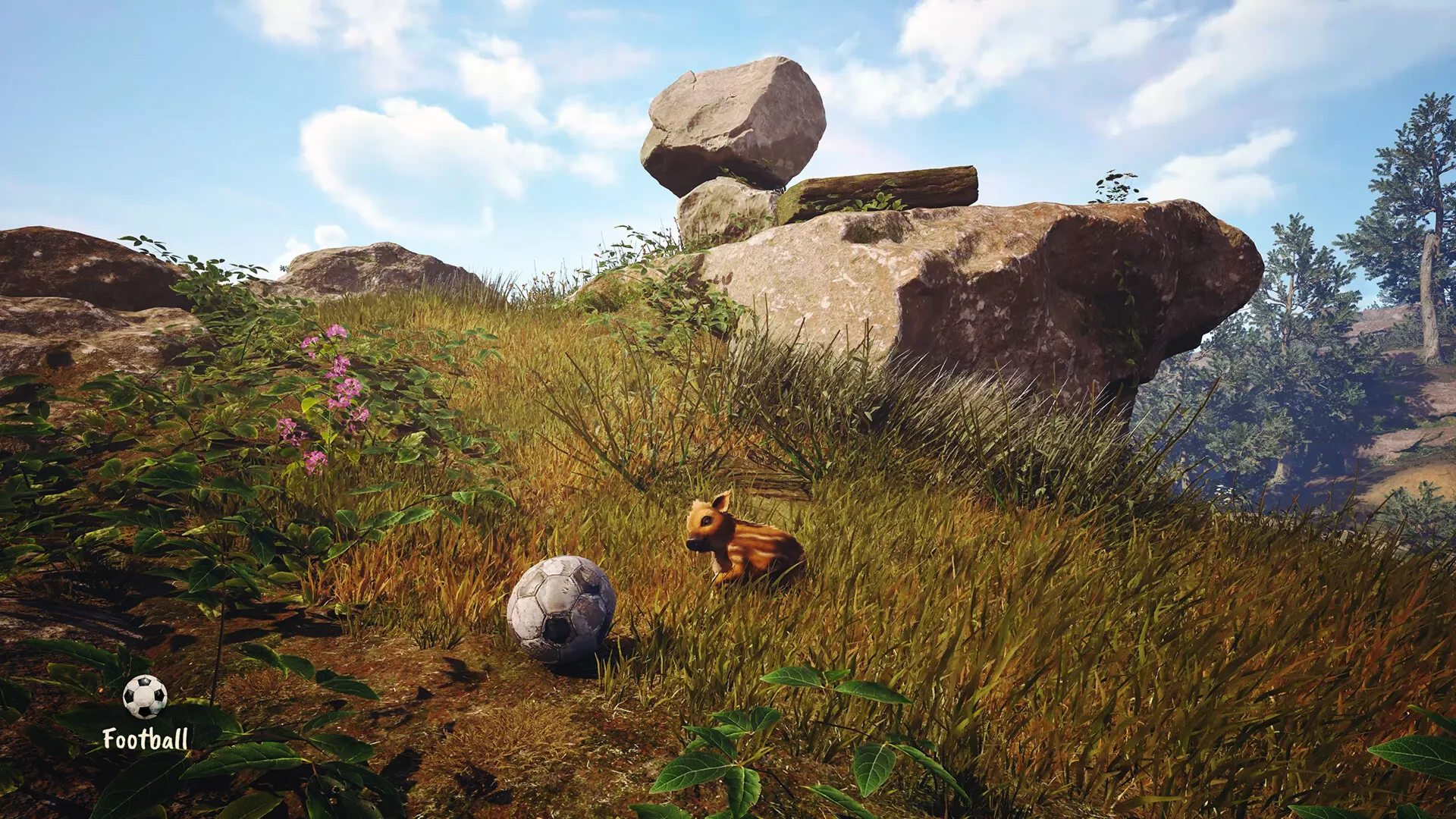 Adorable Adventures XBOX SERIES X|S ПОКУПКА ИГРЫ НА ВАШ АКАУНТ - irongamers.ru