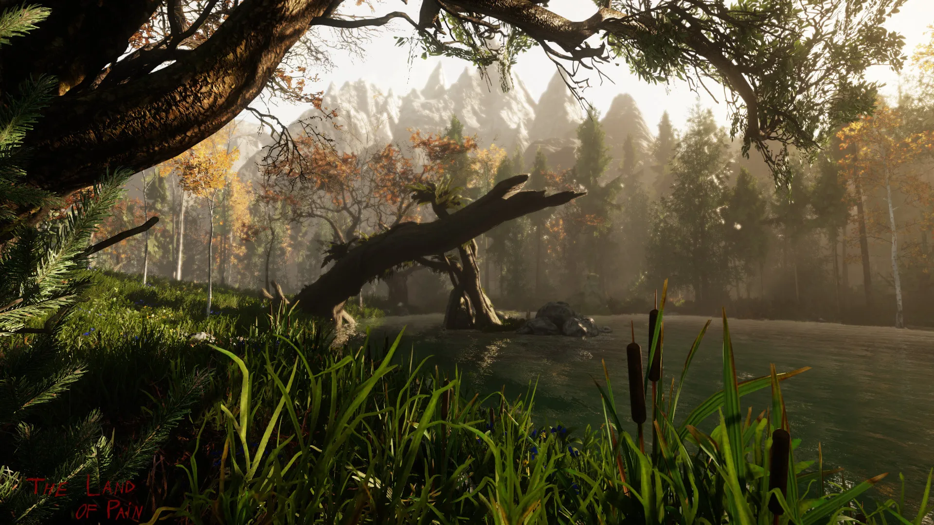 The Land of Pain (Steam ключ / РФ+Весь Мир)
