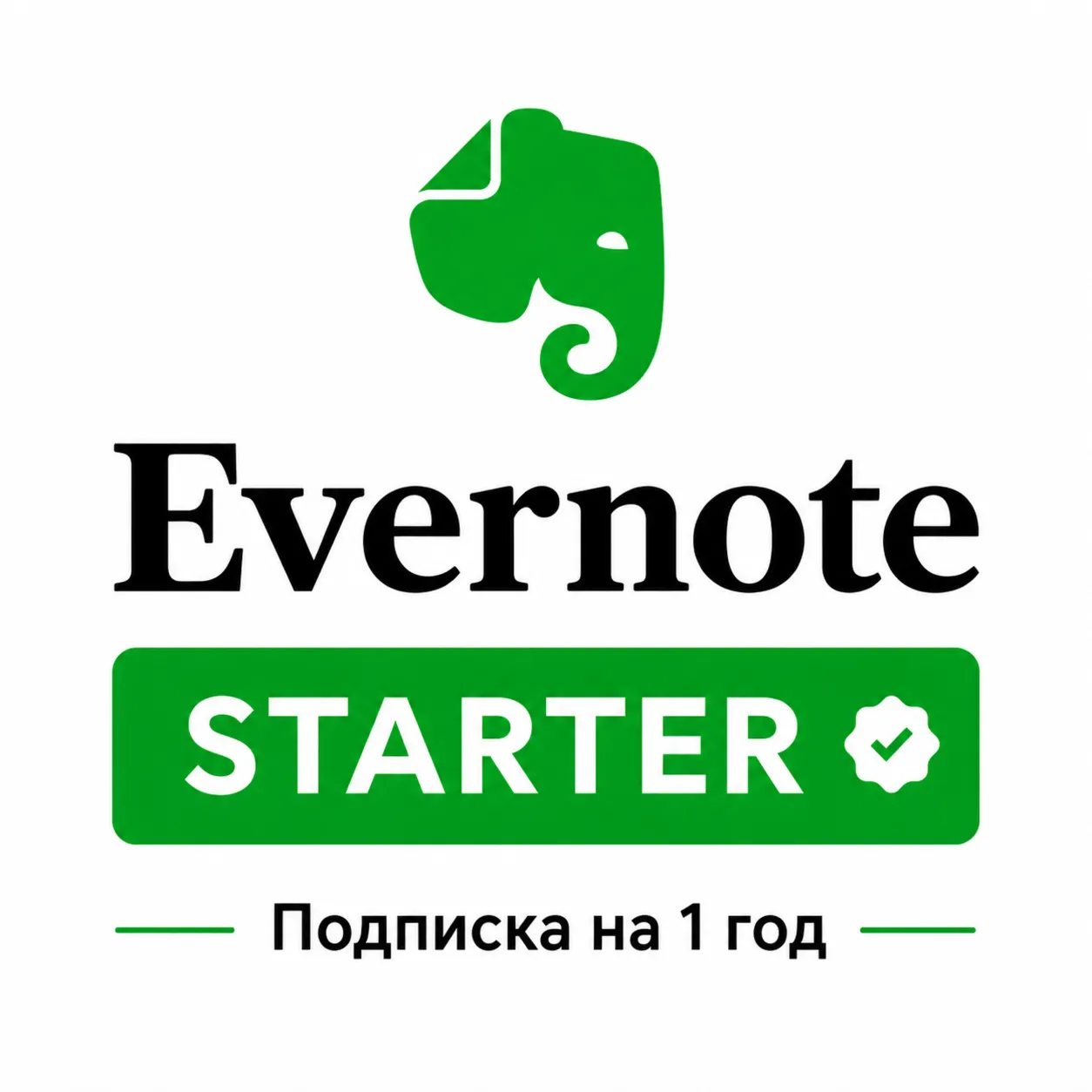 Evernote Starter (ex.Personal)  —  1 Год Подписка