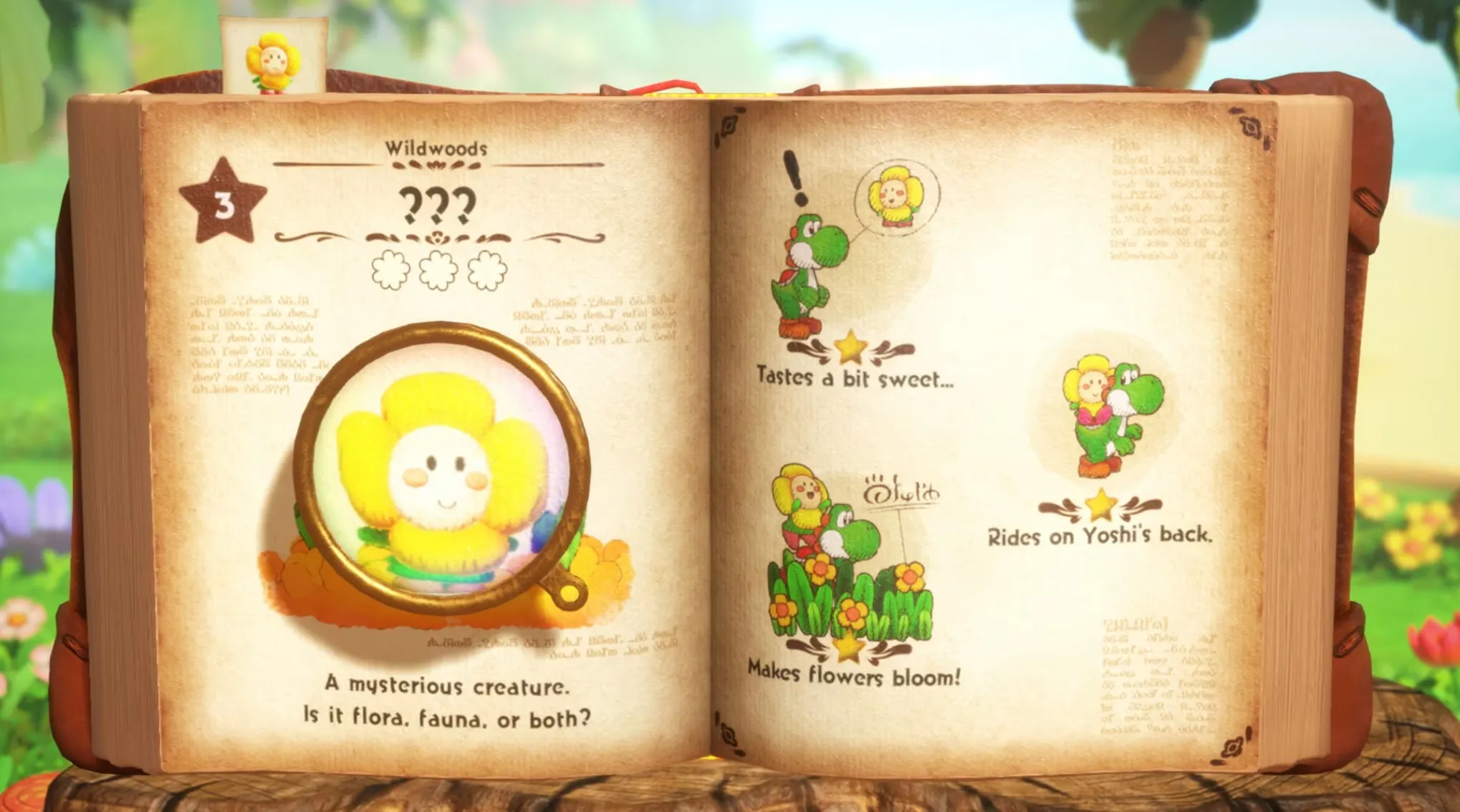 Yoshi and the Mysterious Book | Nintendo Switch 2
