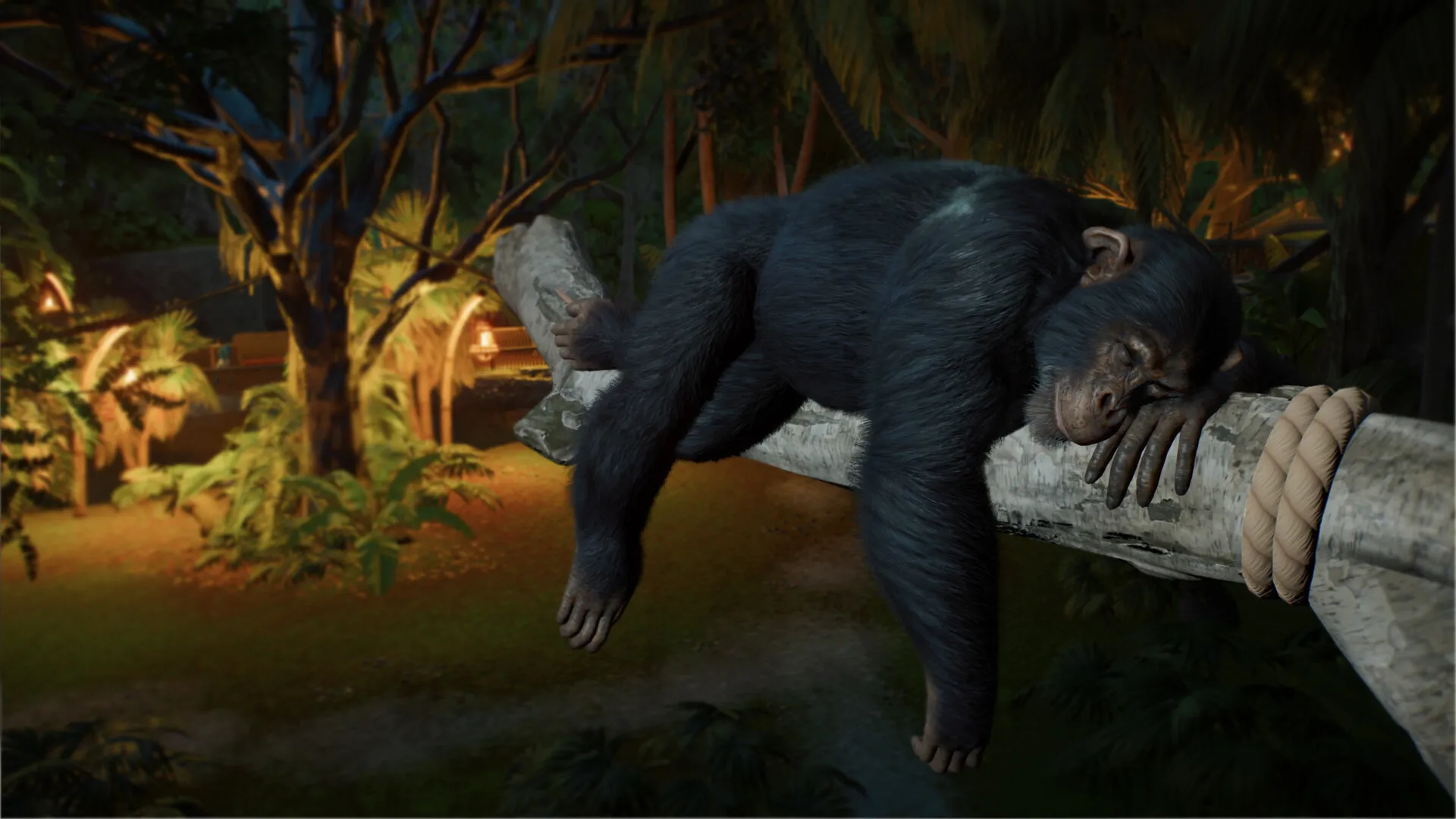 Planet Zoo 2 XBOX SERIES X|S PC ПОКУПКА ПРЕДЗАКАЗА НА ВАШ АКАУНТ - irongamers.ru