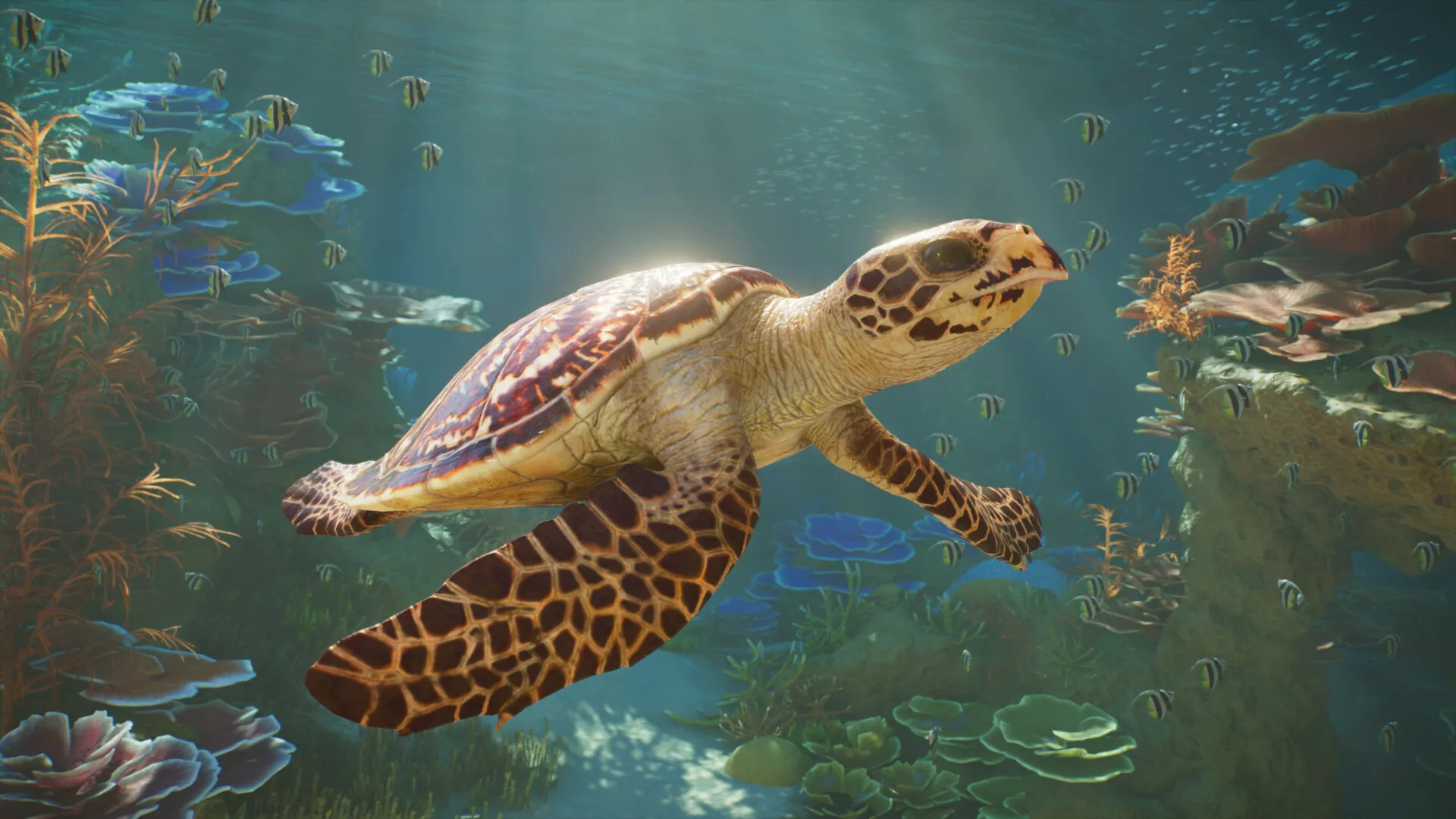 Planet Zoo 2 XBOX SERIES X|S PC ПОКУПКА ПРЕДЗАКАЗА НА ВАШ АКАУНТ - irongamers.ru