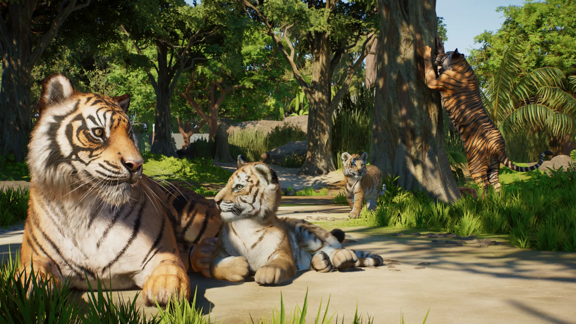Planet Zoo 2 XBOX SERIES X|S PC ПОКУПКА ПРЕДЗАКАЗА НА ВАШ АКАУНТ - irongamers.ru