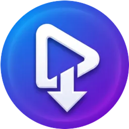 Загрузчик видео Pro — лицензия на 1 ПК (Windows)