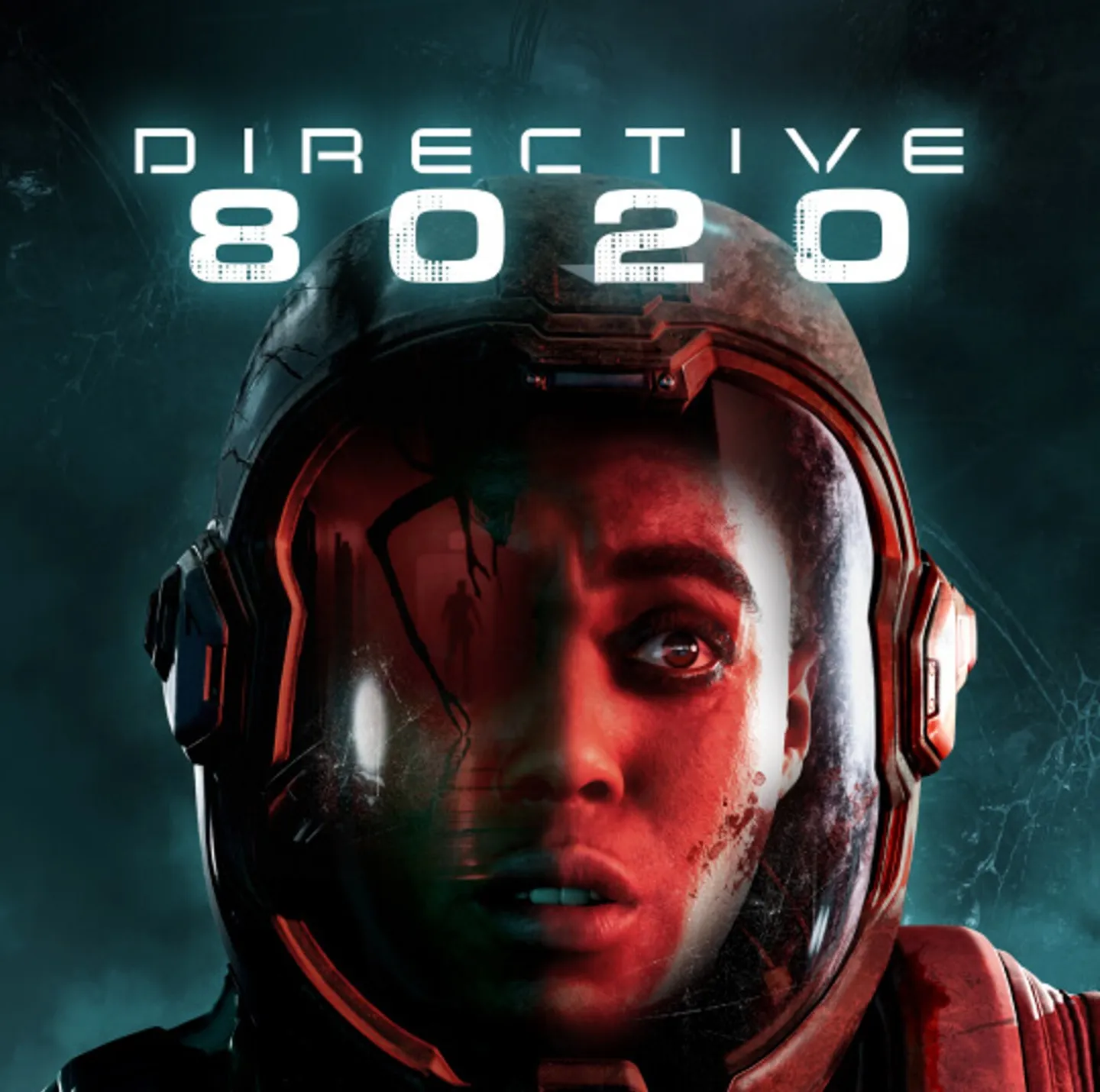 Directive 8020 PS5/RU П3 - Активация