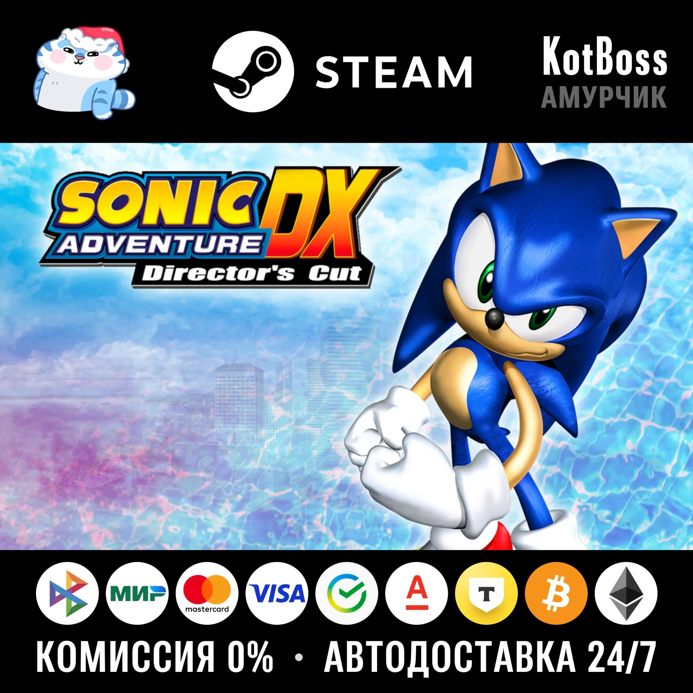 Россия + Мир | Sonic Adventure DX: Director&acute;s Cut / 1 / I | Ключ | Steam - irongamers.ru