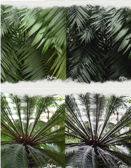 Tropic Cocktail Lightroom Presets | Desktop & Mobile | XMP + DNG | Professional Photo