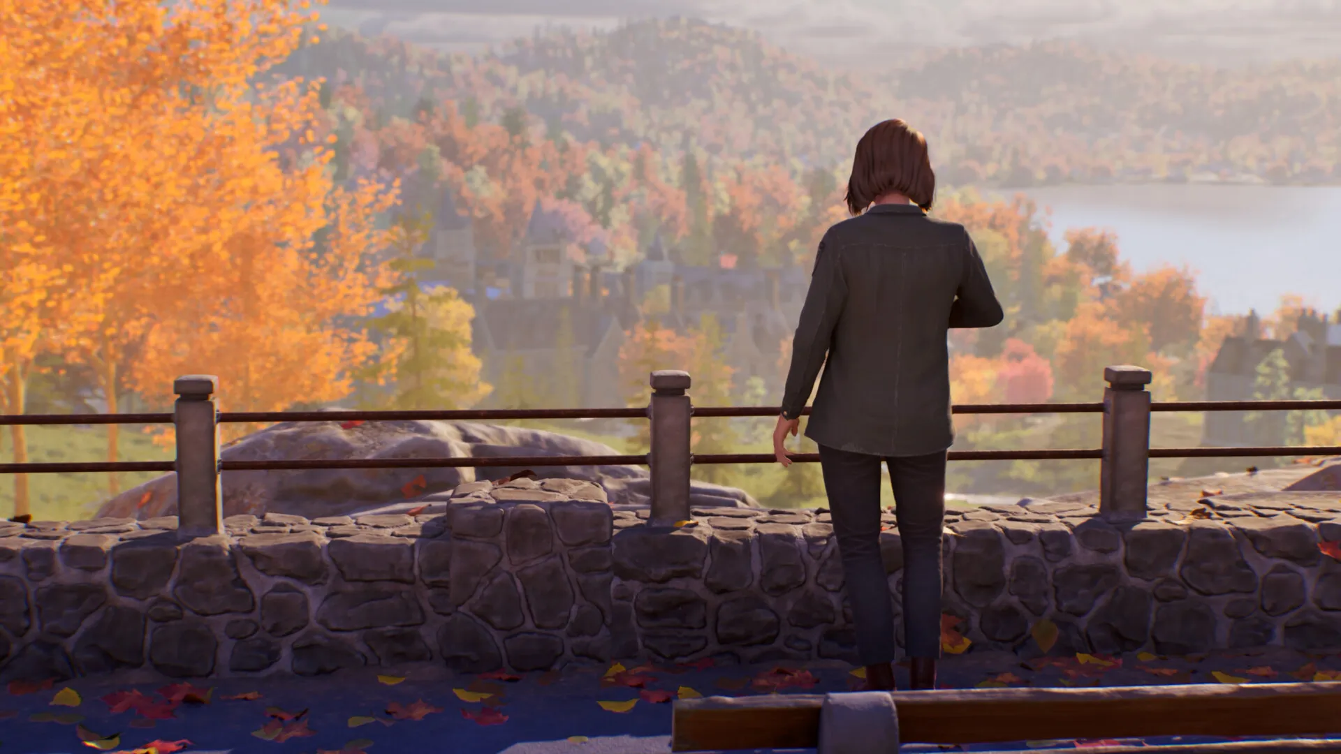 LIFE STRANGE REUNION (оффлайн) Steam