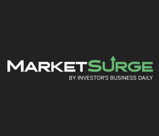 MarketSurge | MarketSmith | MSTool Подписка 1 месяц