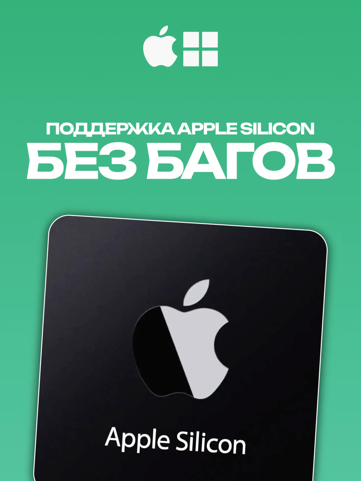Ableton Live 12 Intro [НАВСЕГДА] + Splice в подарок ⚡ 