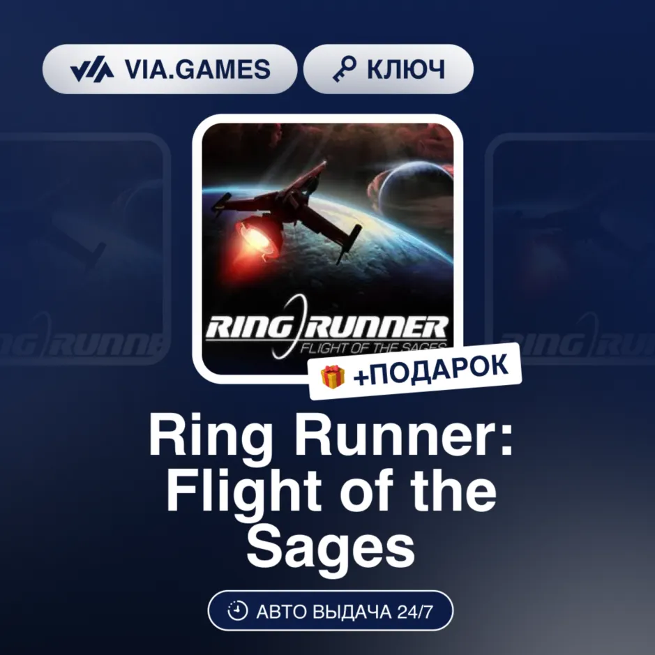 Ring Runner: Flight of the Sages (Steam Ключ) РФ-СНГ-МИР + ПОДАРОК