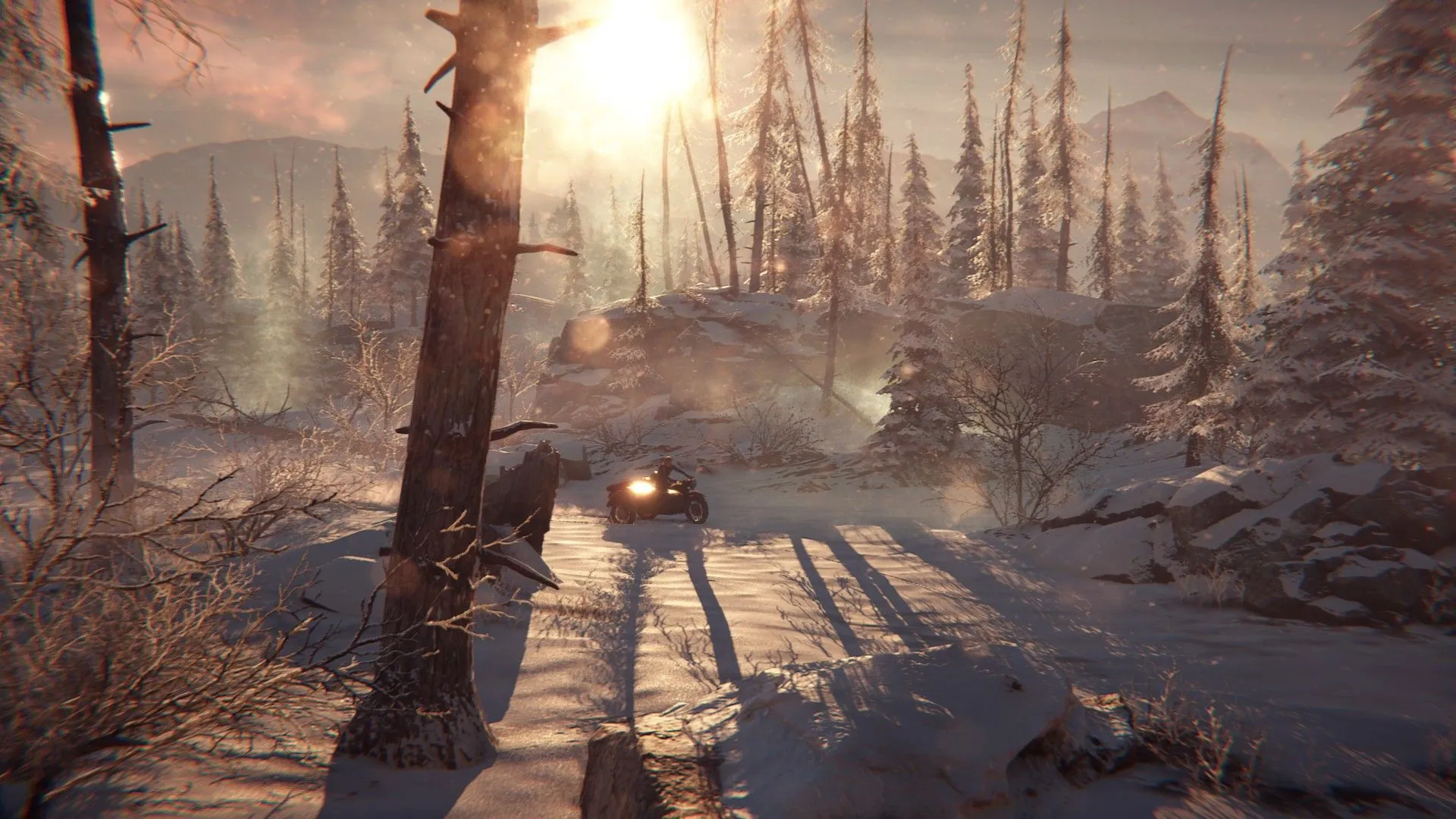 SYBERIA - THE WORLD BEFORE XBOX ONE/X|S+ПК КЛЮЧ