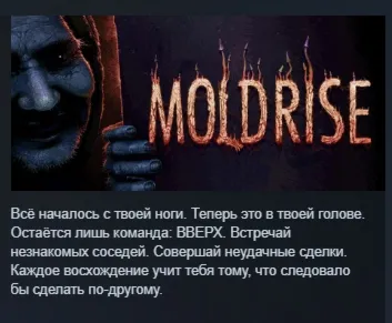 MOLDRISE АВТОДОСТАВКА STEAM GLOBAL МГНОВЕННО ЛИЦЕНЗИЯ