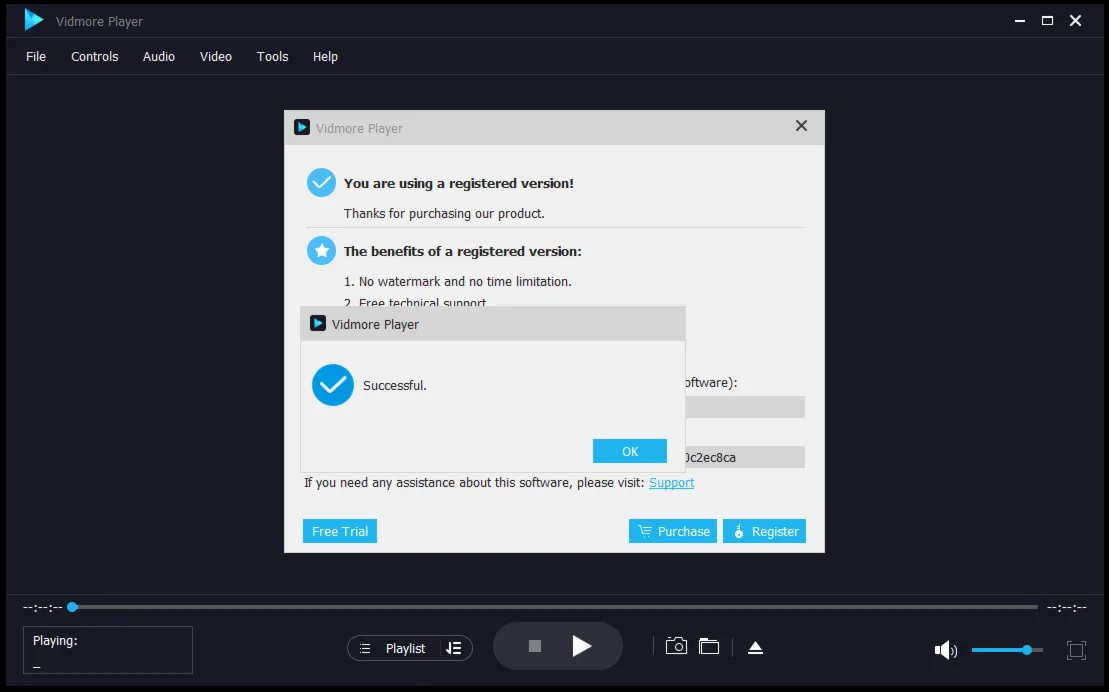 Vidmore Player Код регистрации на 1 год