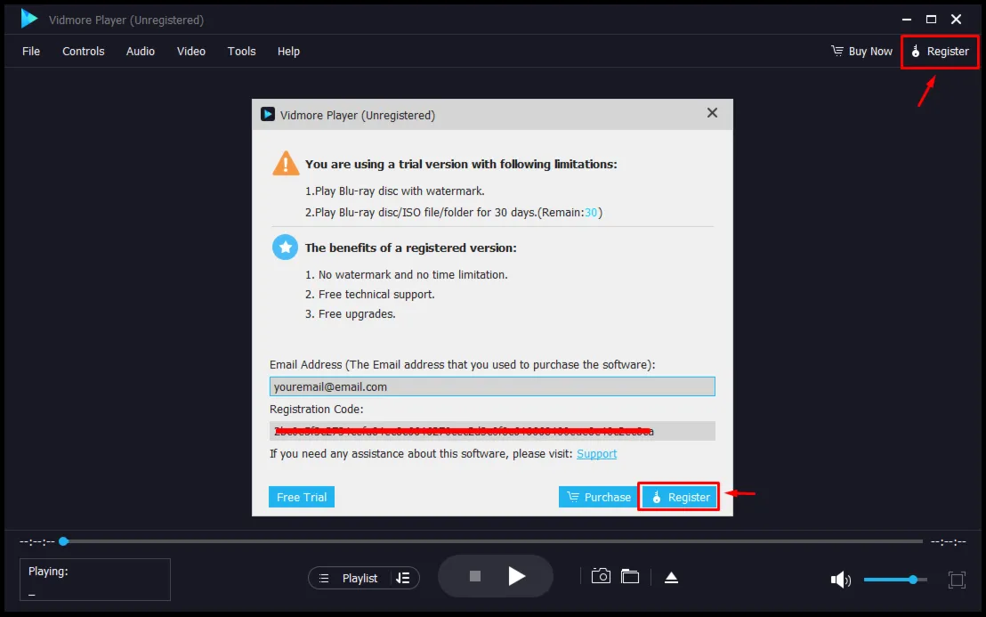 Vidmore Player Код регистрации на 1 год