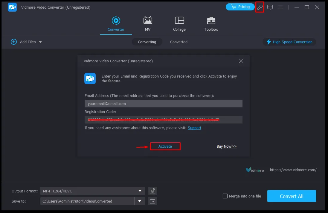 Vidmore Video Converter Код регистрации на 1 год
