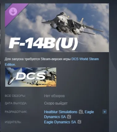 DCS: F-14B(U) by Heatblur Simulations DLC АВТОДОСТАВКА STEAM РОССИЯ - irongamers.ru