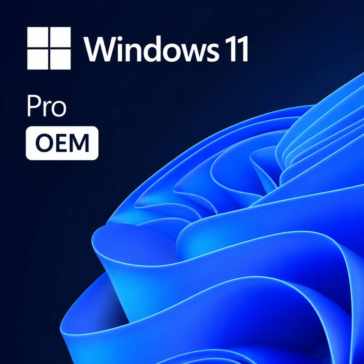 Windows 11 Pro OEM | Купить лицензионный ключ