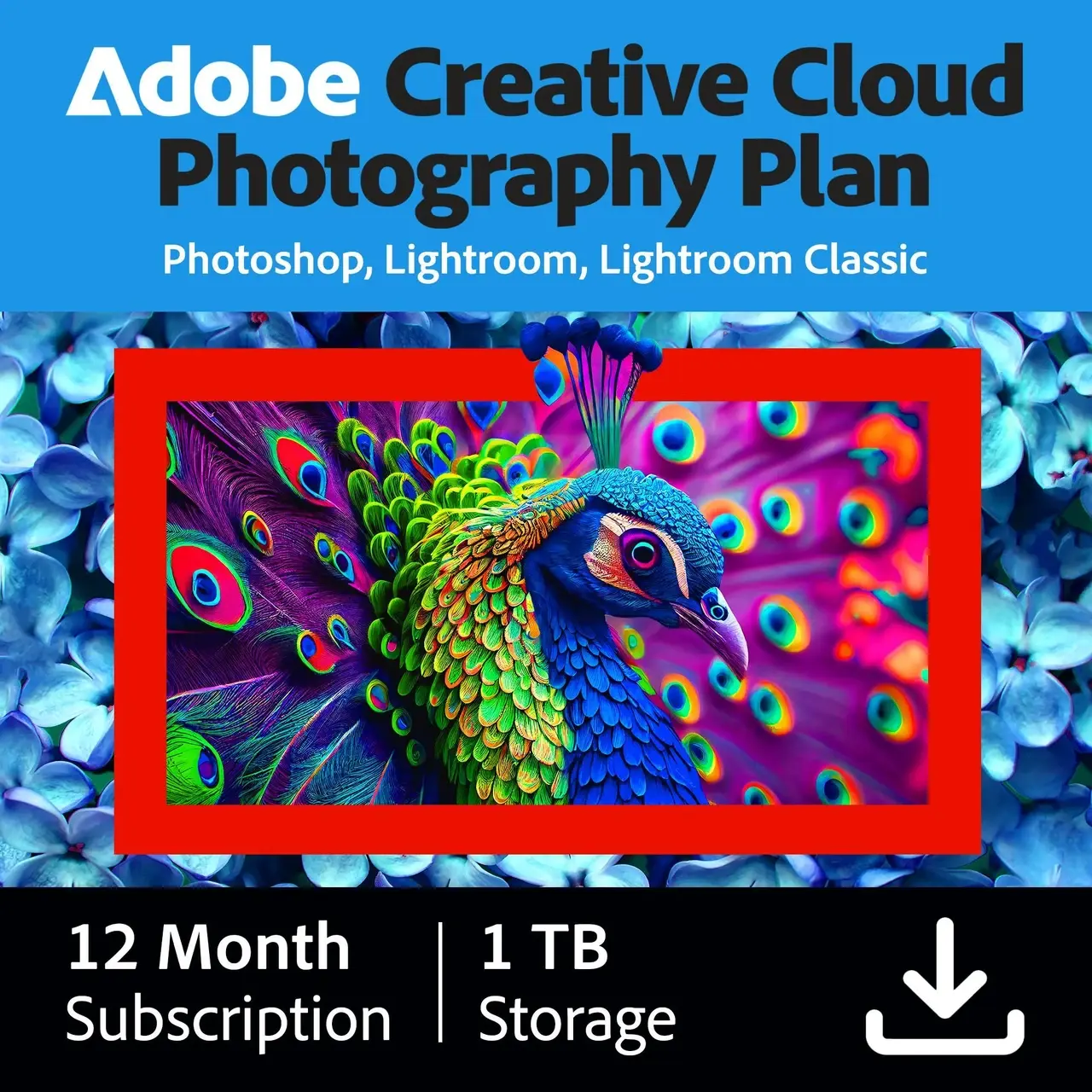 Adobe Creative Cloud Photography Plan | Photoshop + Lightroom + Lightroom Classic | - irongamers.ru