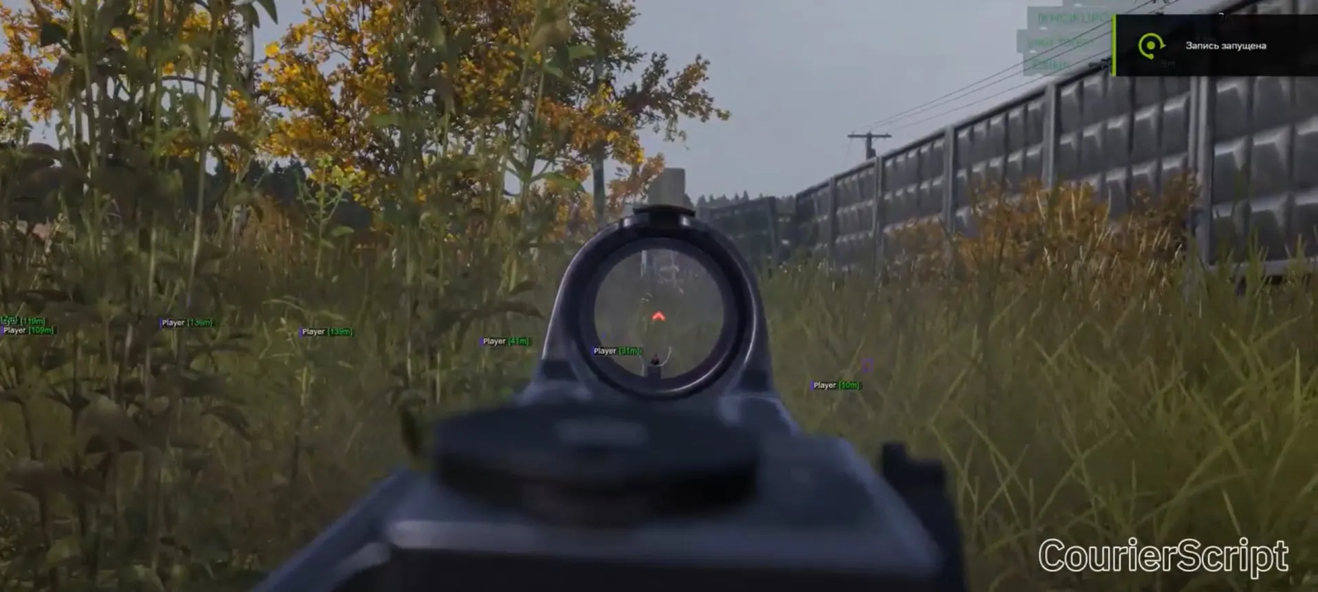 Чит CourierScript для DayZ — ESP игроков, зомби, животных и машин, радар