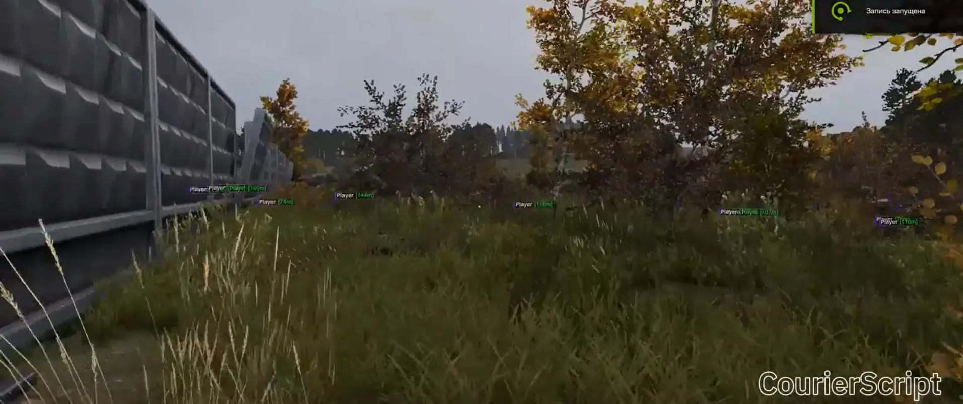 Чит CourierScript для DayZ — ESP игроков, зомби, животных и машин, радар
