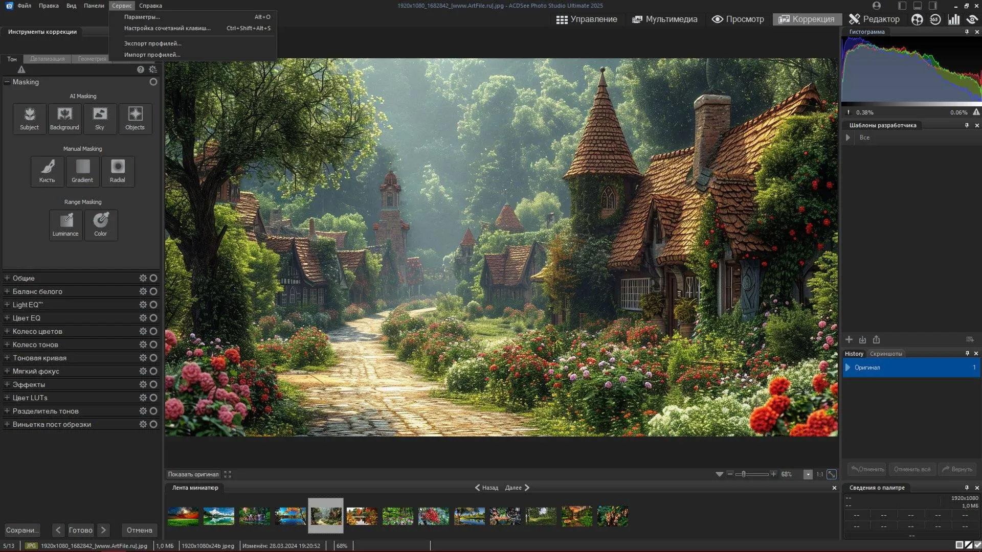ACDSee Photo Studio Professional 2025 | Лицензионный ключ. Глубокая обработка фото