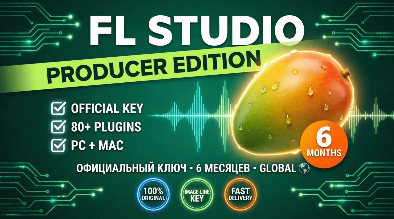 FL Studio Producer Edition | Официальная Лицензия 6 Месяцев | Ключ Image-Line | GLOBA