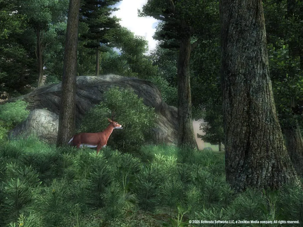 THE ELDER SCROLLS IV: OBLIVION GOTY/DELUXE РФ+ВЕСЬ МИР - irongamers.ru